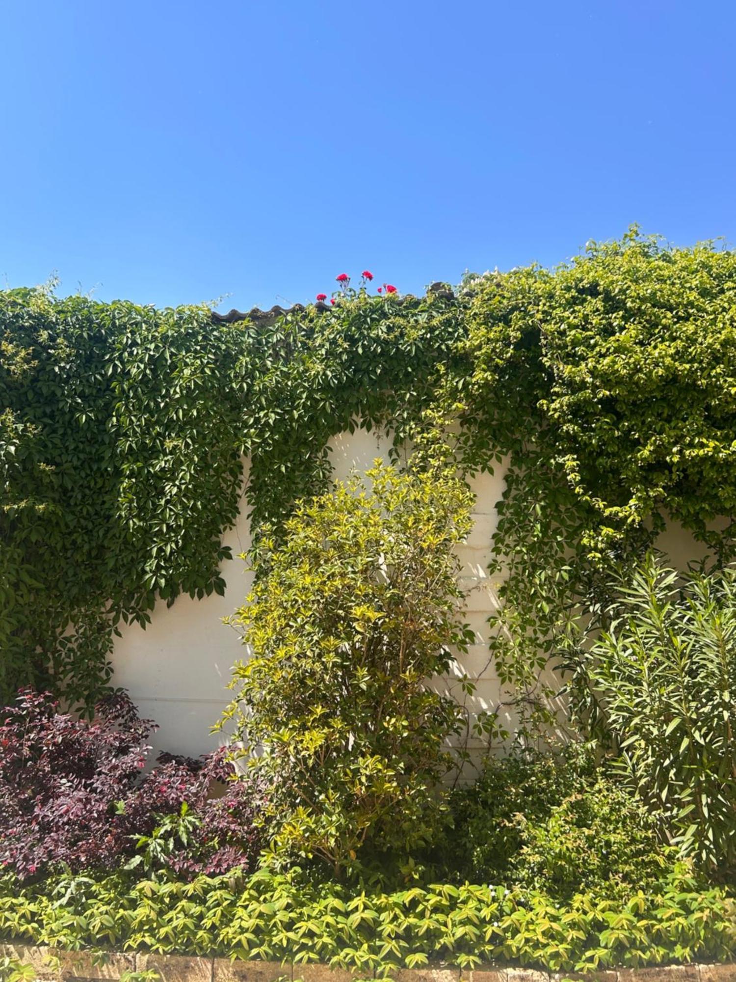 Dependance La Corte Pizzighettone Exterior photo
